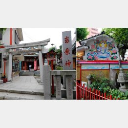 吉原神社と吉原弁財天（Ｃ）日刊ゲンダイ