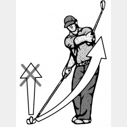 イラスト・ドラゴン２