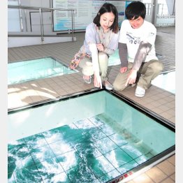 渦の道（提供写真）