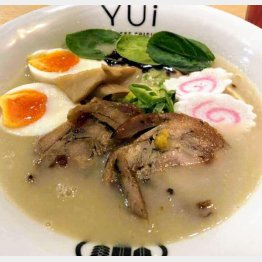 鶏肉ベースの鶏白湯スープ（Ｃ）日刊ゲンダイ
