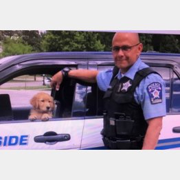 広がる支援の輪（ＧｏＦｕｎｄＭｅのサイトより）