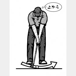 イラスト・ドラゴン２