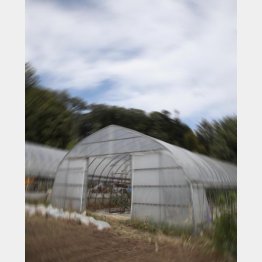 写真はイメージ（Ｃ）日刊ゲンダイ