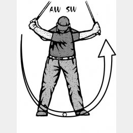 イラスト・ドラゴン２