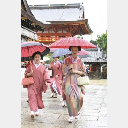 先人の知恵を受け継ぐ舞妓たち（Ｃ）共同通信社
