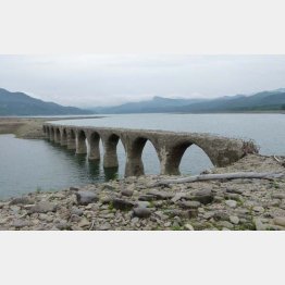 今月初旬までは見られたが…（Ｃ）日刊ゲンダイ