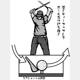 イラスト・ドラゴン２