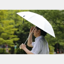 日傘男子が増えている（Ｃ）日刊ゲンダイ