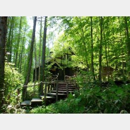 「珈琲 森の時計」（新富良野プリンスホテル）／（提供写真）