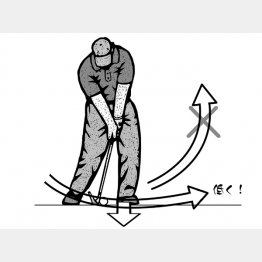 イラスト・ドラゴン２