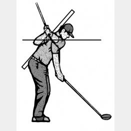 イラスト・ドラゴン２