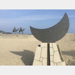 （Ｃ）日刊ゲンダイ