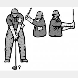 イラスト・ドラゴン２