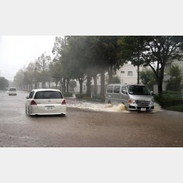 写真はイメージ（Ｃ）日刊ゲンダイ