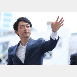 小泉進次郎（Ｃ）日刊ゲンダイ