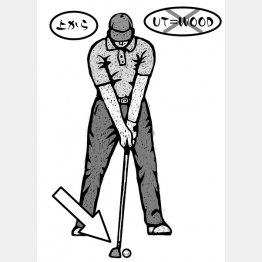 イラスト・ドラゴン２