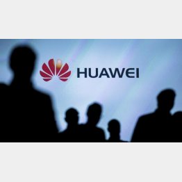 市場規模は世界最大（Ｃ）共同通信社