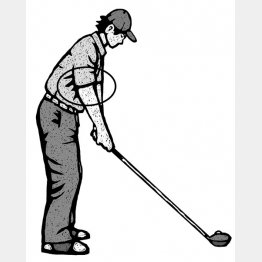 イラスト・ドラゴン２