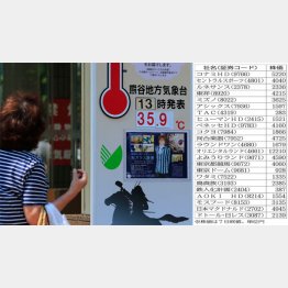 仕事にならない……（Ｃ）日刊ゲンダイ