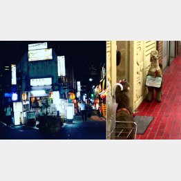 ひなびた路地の雑居ビルにアルパカのぬいぐるみを置くペルー料理店が（右）／（Ｃ）日刊ゲンダイ