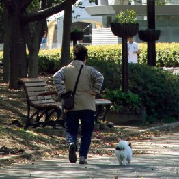 写真はイメージ（Ｃ）日刊ゲンダイ