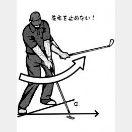 イラスト・ドラゴン２