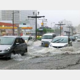 写真はイメージ（Ｃ）日刊ゲンダイ