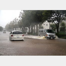 写真はイメージ（Ｃ）日刊ゲンダイ