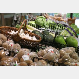 生活クラブ デポー浦安（Ｃ）日刊ゲンダイ