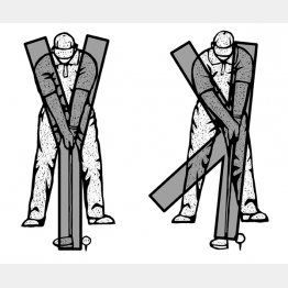 イラスト・ドラゴン２