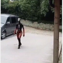 （ユーチューブから）