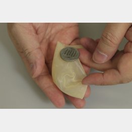 中にあるように見えない（Ｃ）日刊ゲンダイ