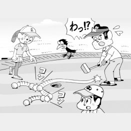 イラスト・小山混