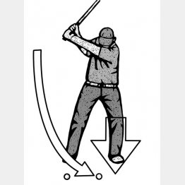 （イラスト・ドラゴン２）