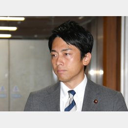 政界の“新”風見鶏（Ｃ）日刊ゲンダイ