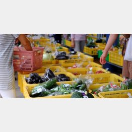 野菜も値上がりで…（Ｃ）ＰＩＸＴＡ