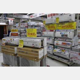 半額になるか！（Ｃ）日刊ゲンダイ