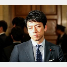 小泉進次郎氏（Ｃ）日刊ゲンダイ