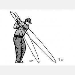 （イラスト・ドラゴン２）