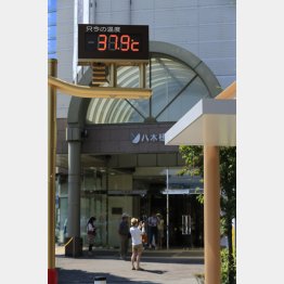 酷暑でも懐は寒くなるばかり（Ｃ）日刊ゲンダイ