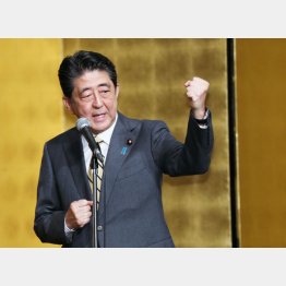 いつも大風呂敷を広げるだけ（Ｃ）日刊ゲンダイ