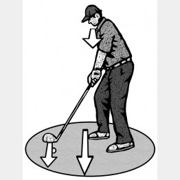 （イラスト・ドラゴン２）