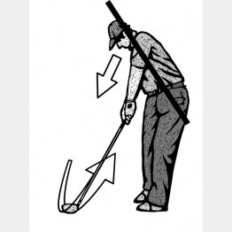 （イラスト・ドラゴン２）