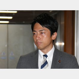 小泉進次郎氏（Ｃ）日刊ゲンダイ