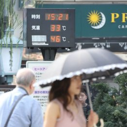 猛暑で倒産？（Ｃ）日刊ゲンダイ