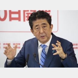 ウソとゴマカシばかり（Ｃ）日刊ゲンダイ