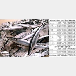 サンマのスーパー店頭価格は１匹１５０円前後（Ｃ）日刊ゲンダイ