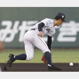 韓国戦の初回にエラーした小園（Ｃ）共同通信社