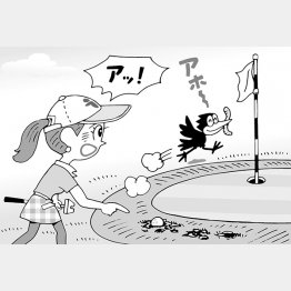 イラスト・小山混