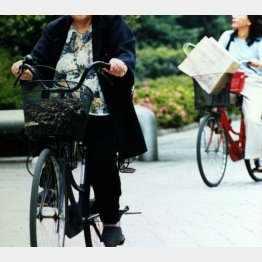 写真はイメージ（Ｃ）日刊ゲンダイ